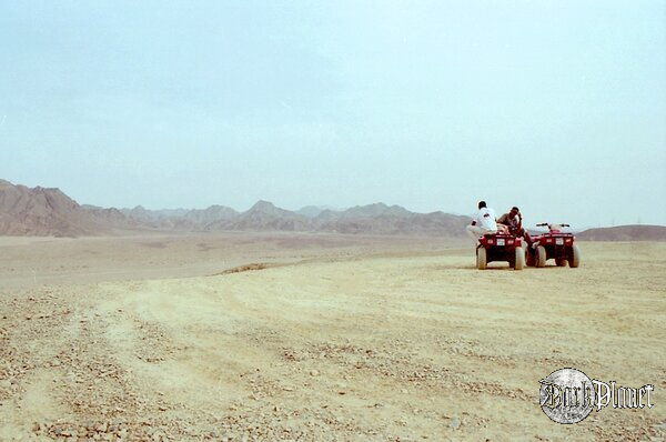 Wasteland