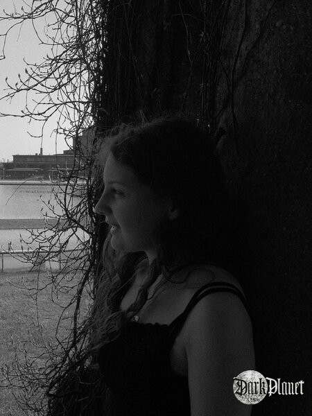 autoportret II