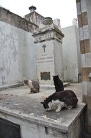 Recoleta Buenos Aires 2 dobre wizyty