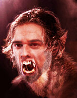 Lycan Pics