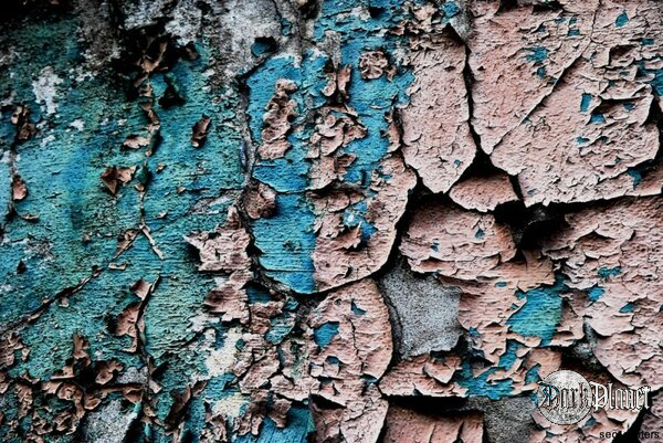 paint