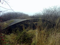 Tył.