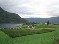 Norwegia 2007