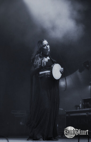 Faun