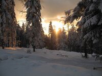 frozen