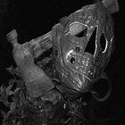 vx
