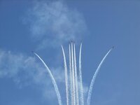 Red Arrows 