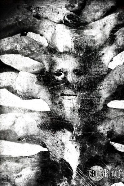 82