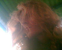 Loup en couleur