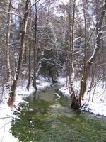 Zima