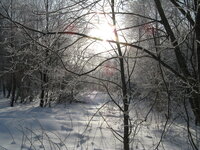 Bieszczady-28.XII.2007-2.I.2008