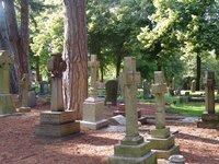 Cmentarze [cmentarze]
