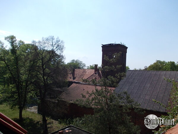 Wieża