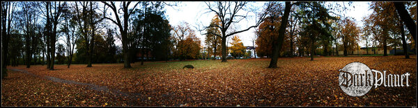 park