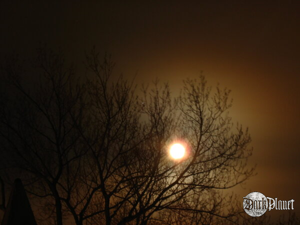MoonShadow