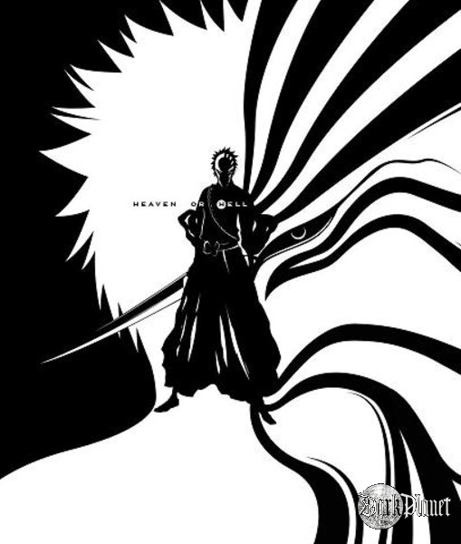 Bleach - Ichigo+hollow