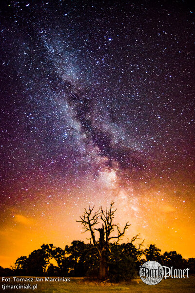 [Natura]