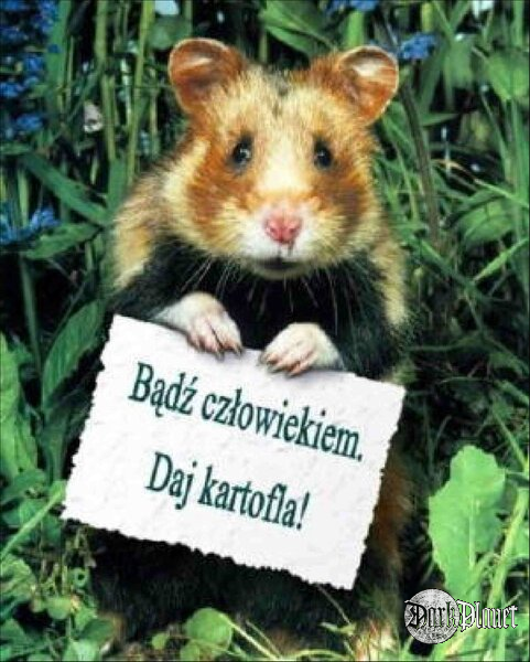 Dla Ciebie, zawsze ;-)!