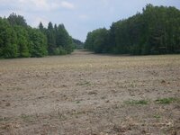 Moja twórczość. Zwykłe / niezwykłe.