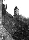 rlipa1