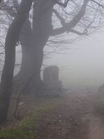 ślęża