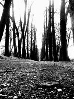 dark way