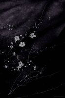 My photography: Dark zen series