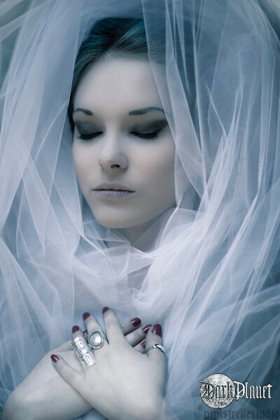 https://www.facebook.com/Pipistrellestudio/photos_stream
