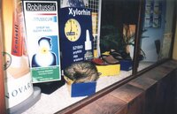 <div>Galeria2</div><br />