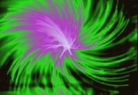 Galeria3<br />