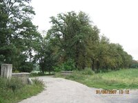 Galeria4