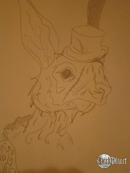 krolik