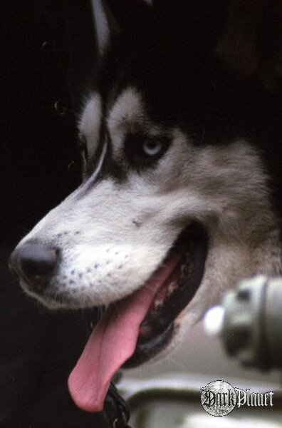 eos10+fuji_ISO400
