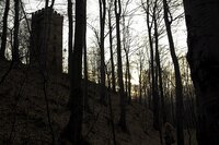 Pozdrawiam tajemniczą kobiete,którą zobaczyłem dopiero na..zdjęciu.