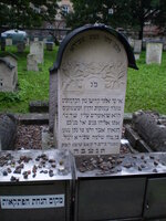 מה דעתכם על jewish cemetery