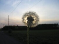 natura