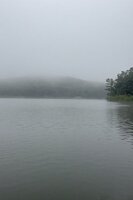 Misty