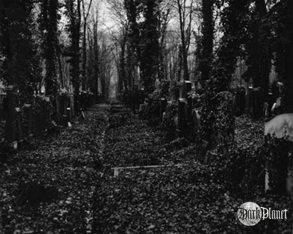 Woods To Eternity