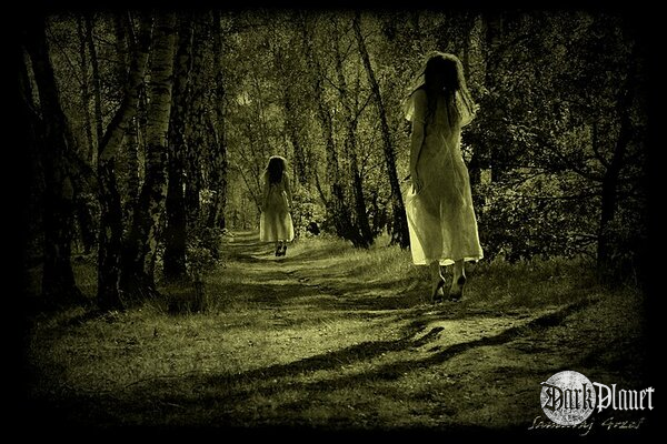 Into the woods [Dzieci Nocy]