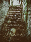 carpathia1
