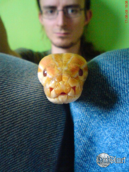 :P