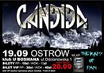 Candida / Therapy Of Pain