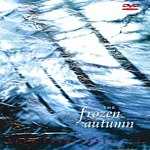 The Frozen Autumn - Seen From Under Ice