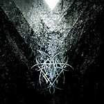 Asofy - Percezione