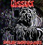 Dissect - Swallow Swouming Mass