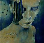 Splot - Klatka