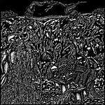 Ritual Chamber - debiutancki materiał dostępny na kompakcie