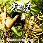 Vedonist - Awakenig To Immortality