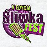 Śliwka Fest 2015