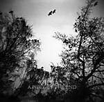 Vidian - A Piece Of The End